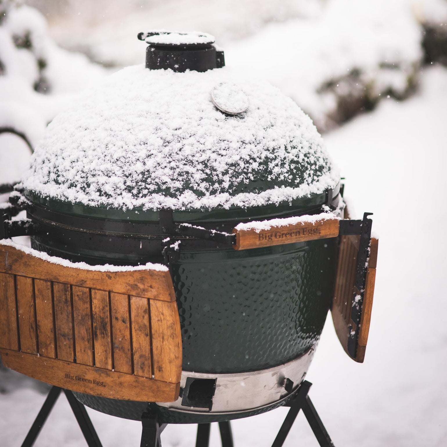 products/BigGreenEgg-67.jpg